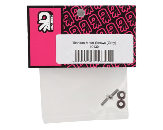 175RC 3x10mm Titanium Motor Screws (Grey) (2)