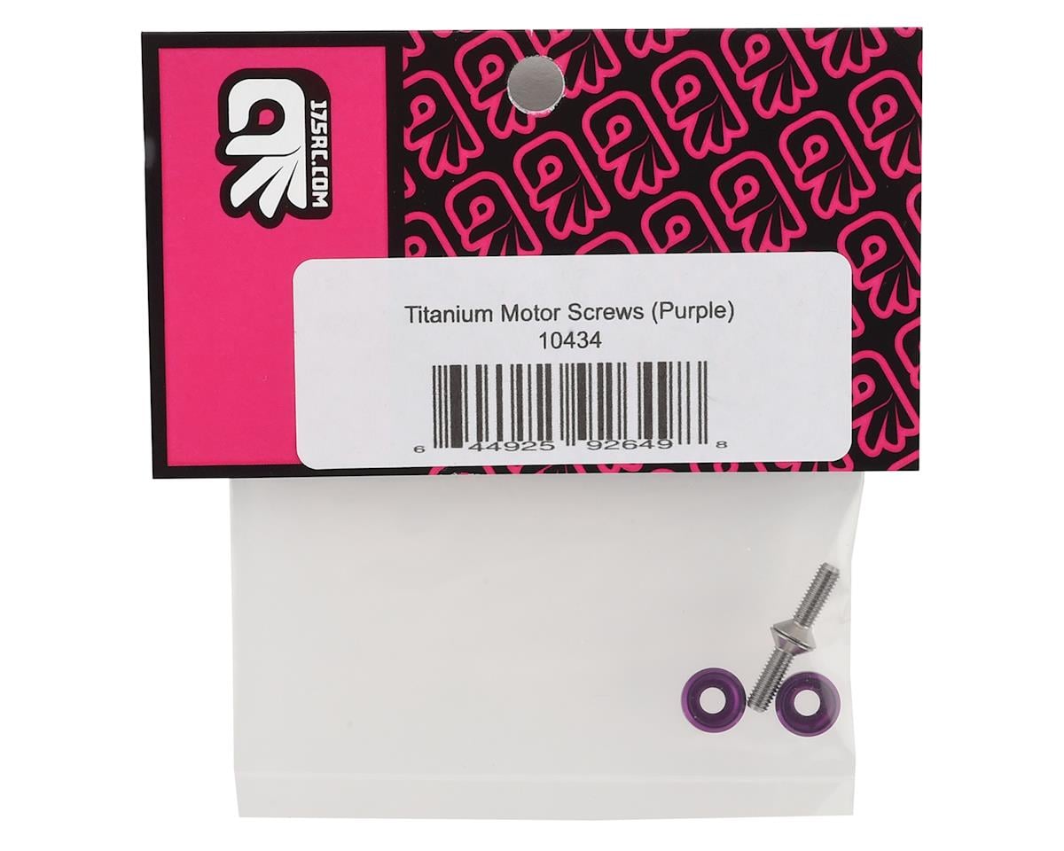 175RC 3x10mm Titanium Motor Screws (Purple) (2)
