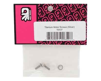 175RC 3x10mm Titanium Motor Screws (Silver)