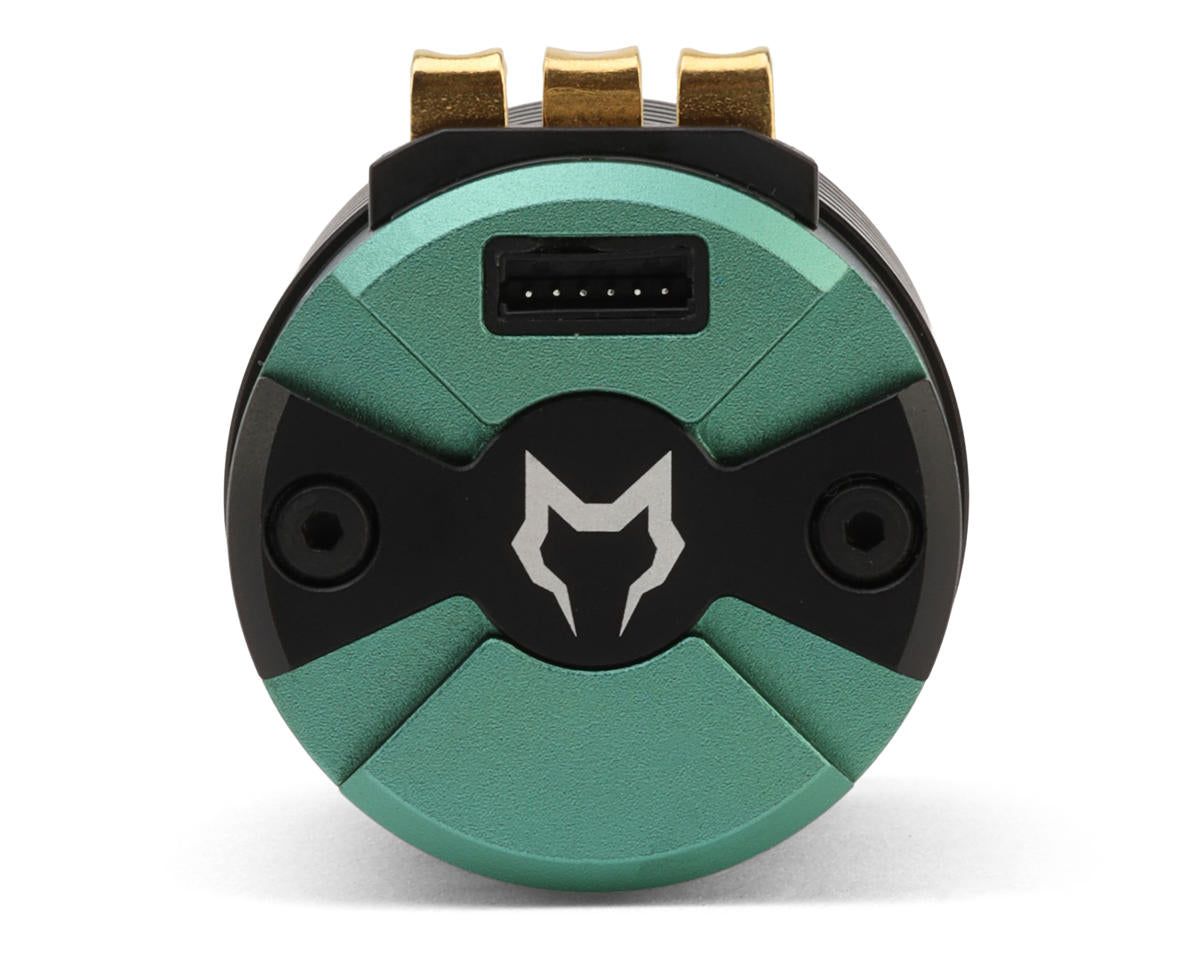 Cayote Crest 4268 1/8 Sensored Brushless Motor (2500kV) (IFMAR)