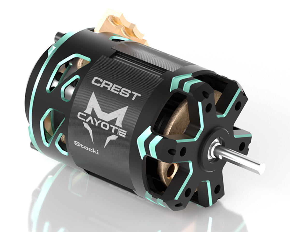 Cayote Crest Stocki 1/10 Brushless Competition Sensored Motor (13.5T)