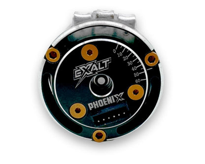 Team Exalt Complete Spec Motor Aluminum Screws Kit (Gold)