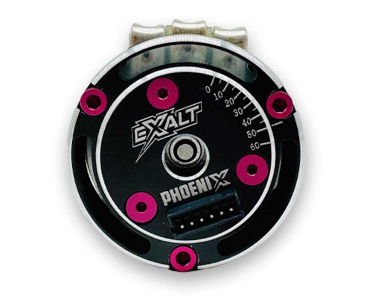 Team Exalt Complete Spec Motor Aluminum Screws Kit (Pink)