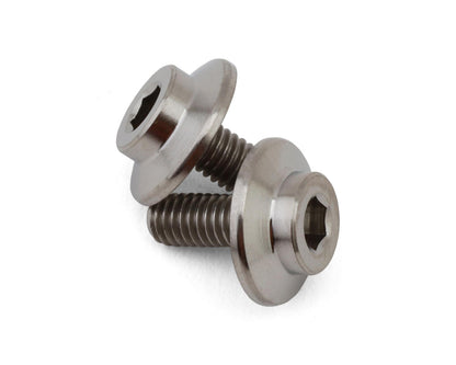 ProTek RC GR5 Titanium Motor Screw (2) (3x7mm)